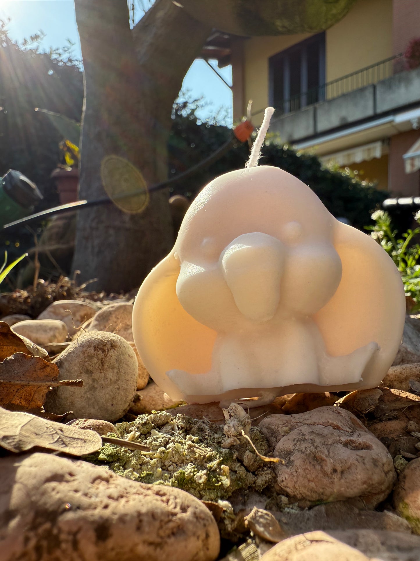 Dumbo