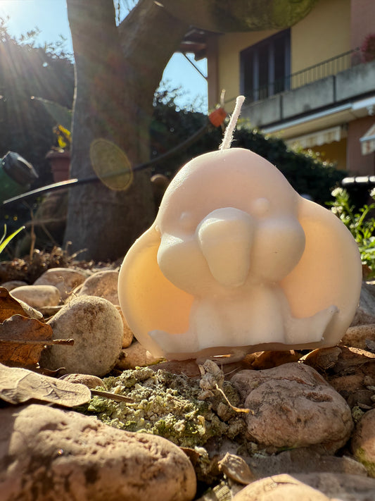 Dumbo