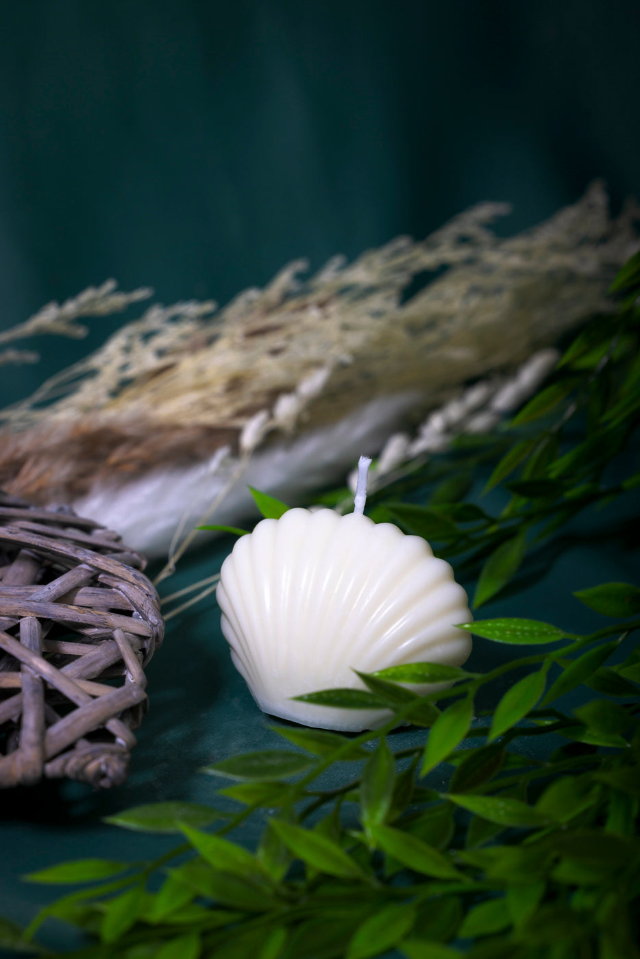 Collezione Oceano