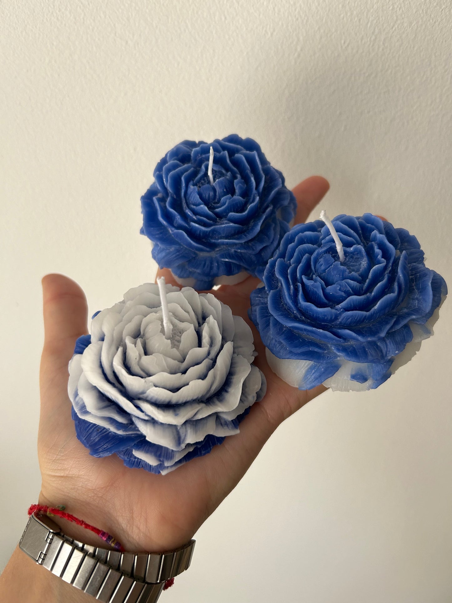 Sweet Peonia